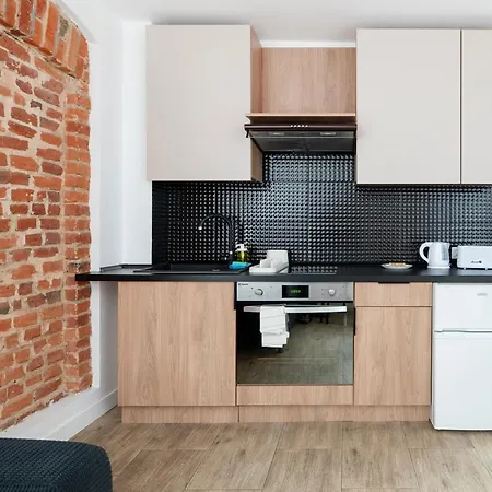 Park Zrodliska Bricks Apartment Lodz (Lodz)