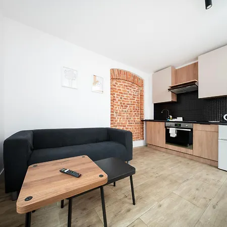 Apartment Park Zrodliska Bricks Lodz (Lodz)